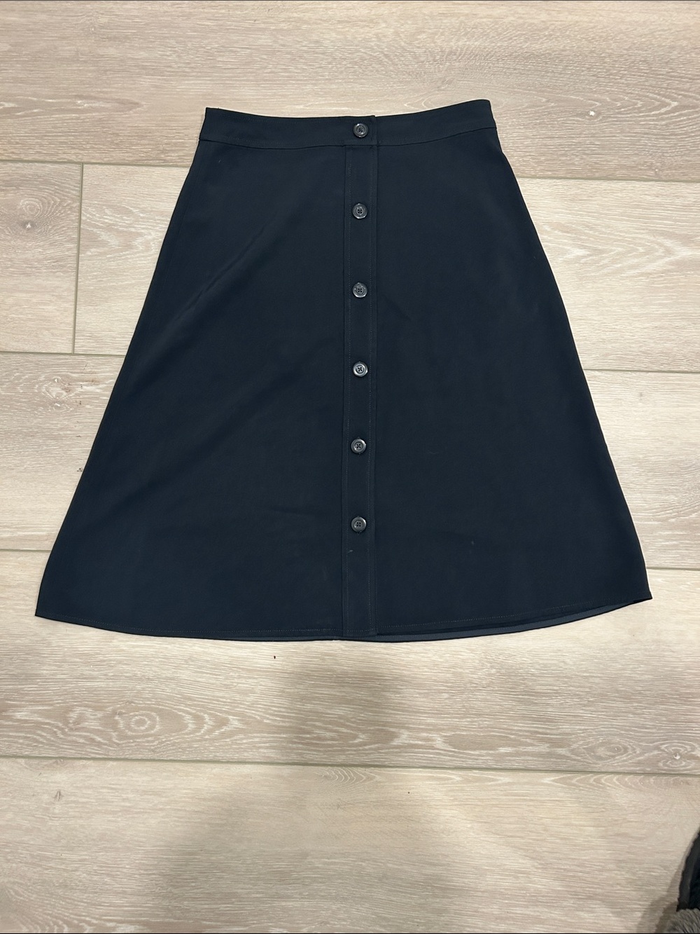 Everlane Black Skirt